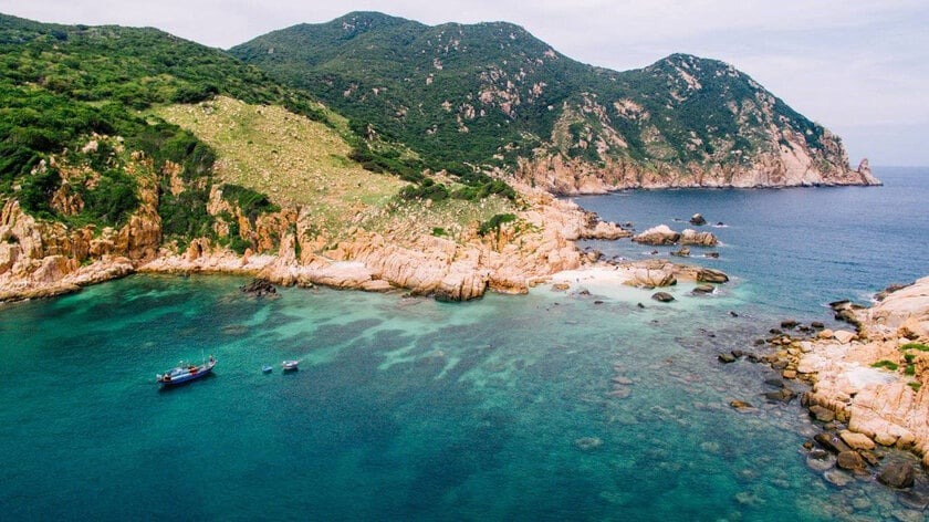 Toàn Cảnh